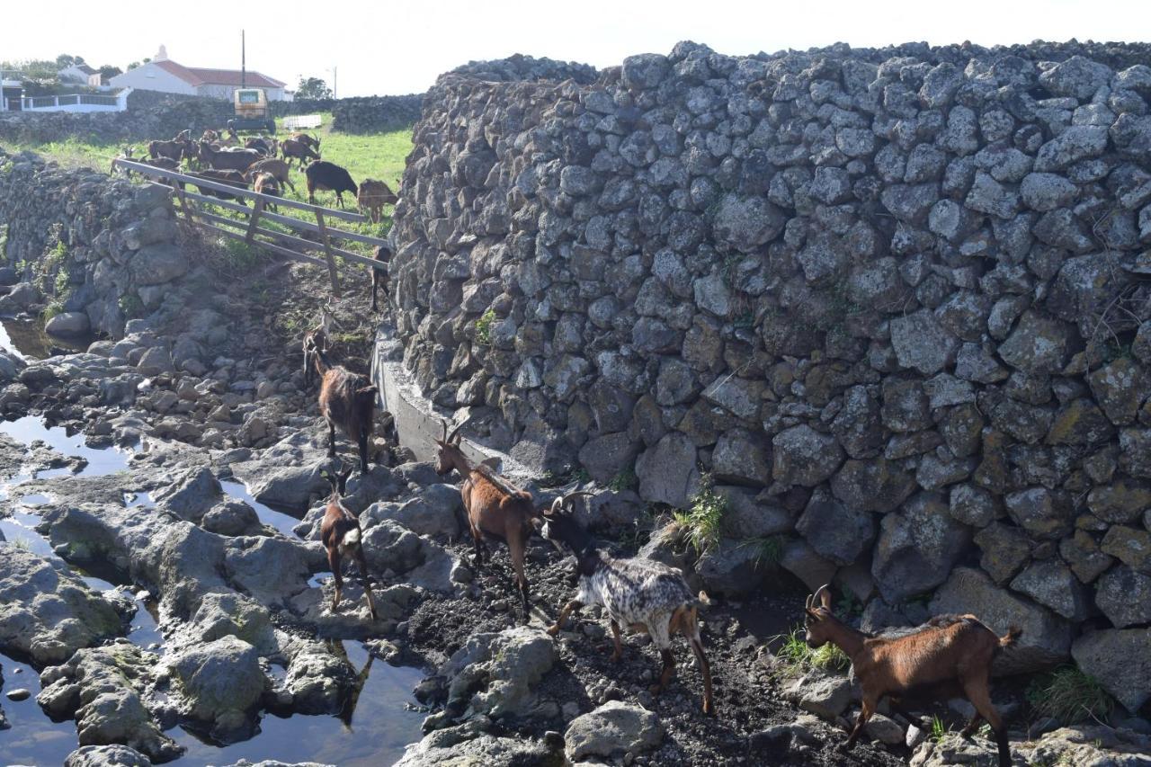 فيلا Casas Da Ribeira Santa Bárbara المظهر الخارجي الصورة